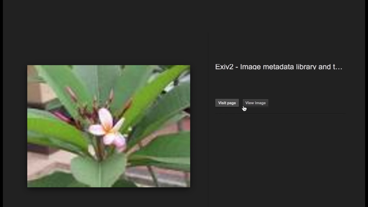 Extract Image Metadata with Intrigue Core 🖼️