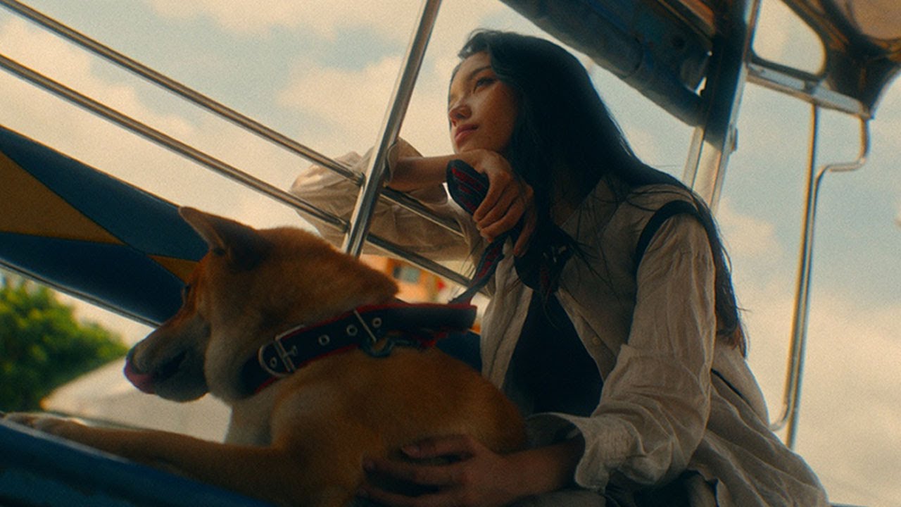 Wave to Earth - Bad (Lyric Video) 🎶