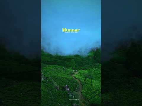 Monsoon Is back in Kerala  #shortsvideo #travel #munnar