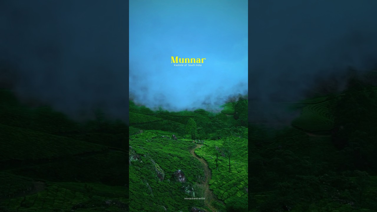 Monsoon Returns to Kerala: A Scenic Journey to Munnar