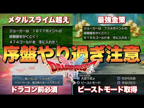 【ドラクエⅠリメイク】序盤やりすぎ注意な金策&レベル上げ！ドラゴン戦前にやるべき事！