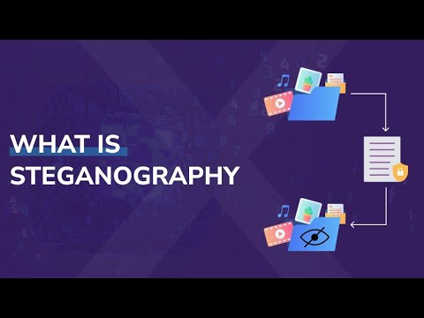 ||What is Stenography In Cyber Security?||Types Of Steganography||Cyber Security|| By-@cyberwire09