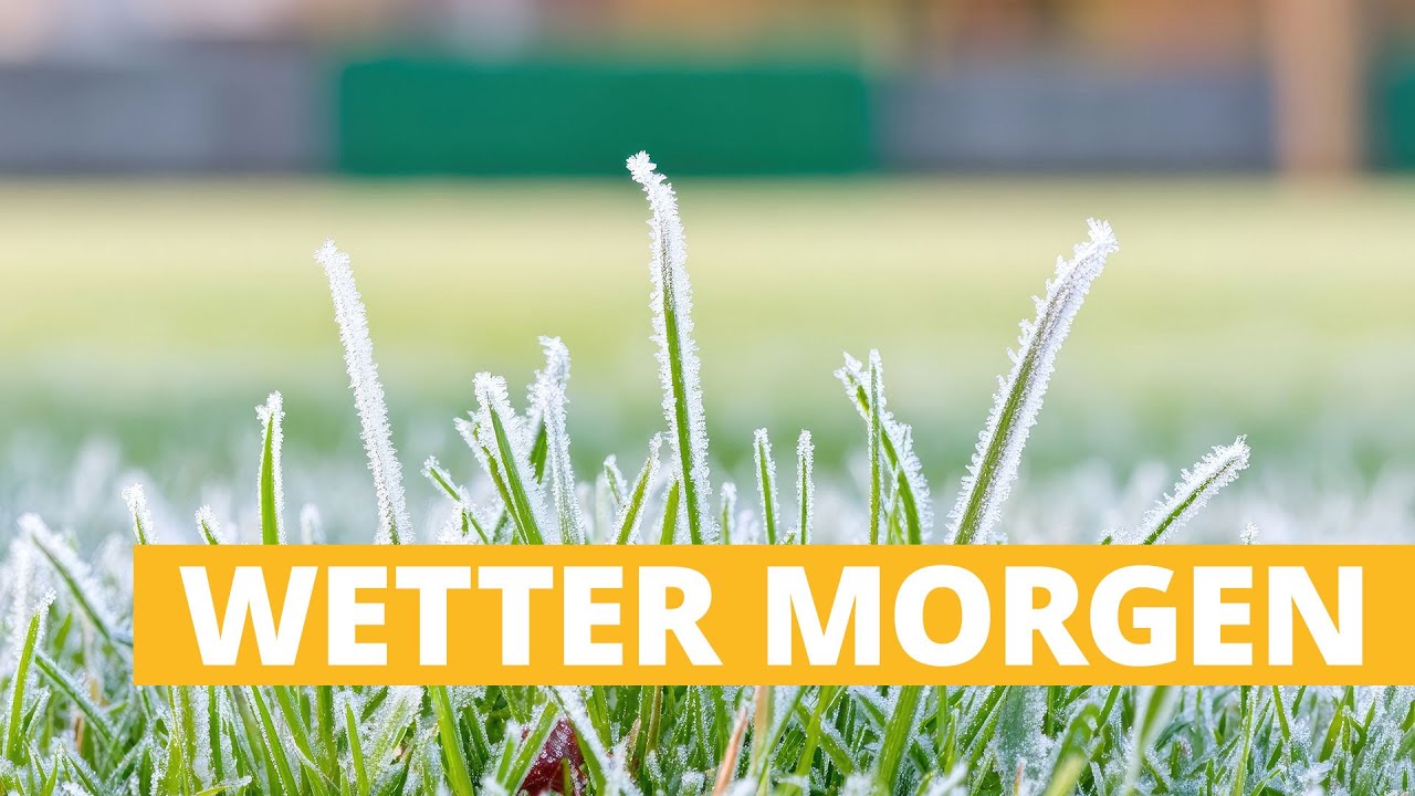 Bodenfrost am Sonntagmorgen: Kaltstart ☃️