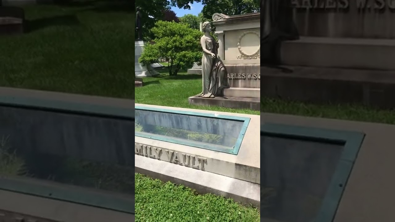 Family Vault with Window 🏠 #shorts