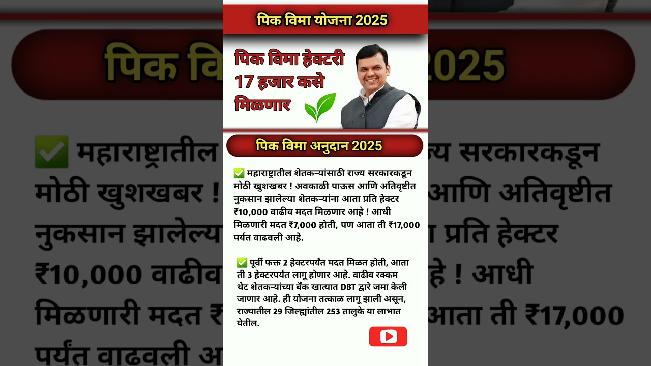 पीक विमा 2025 हेक्टरी 17 हजार कसे मिळणार? #shetakari shorts facts#shortsfeed #pikvima