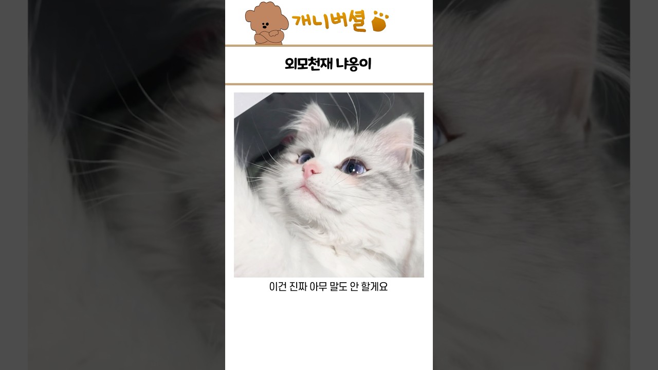 심쿵 유발 귀여운 동물 모음 320종 🐾