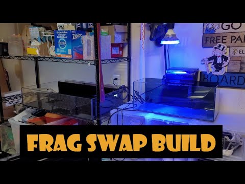 Preparing for My First Frag Swap ๐ Part 1