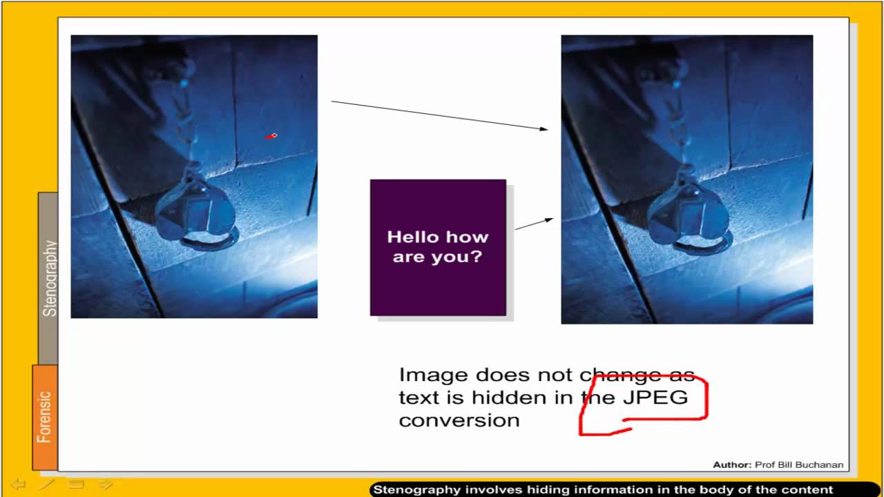 Forensic Computing Basics: Part 1 🕵️‍♂️ | Essential Guide to Digital Forensics