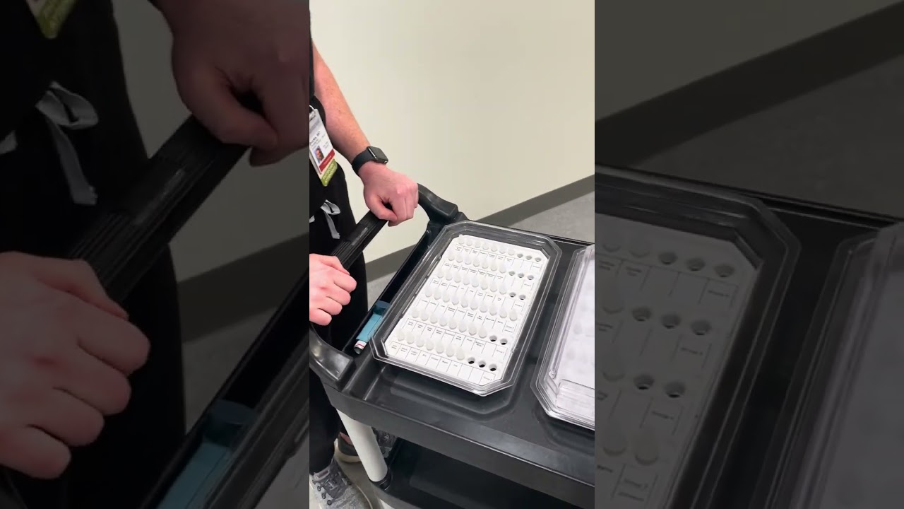 Allergy Scratch Test Explained 🩺