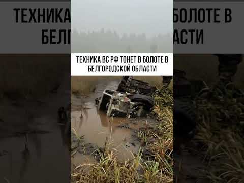 Белгородская область — прорыв дамбы: катастрофа и последствия