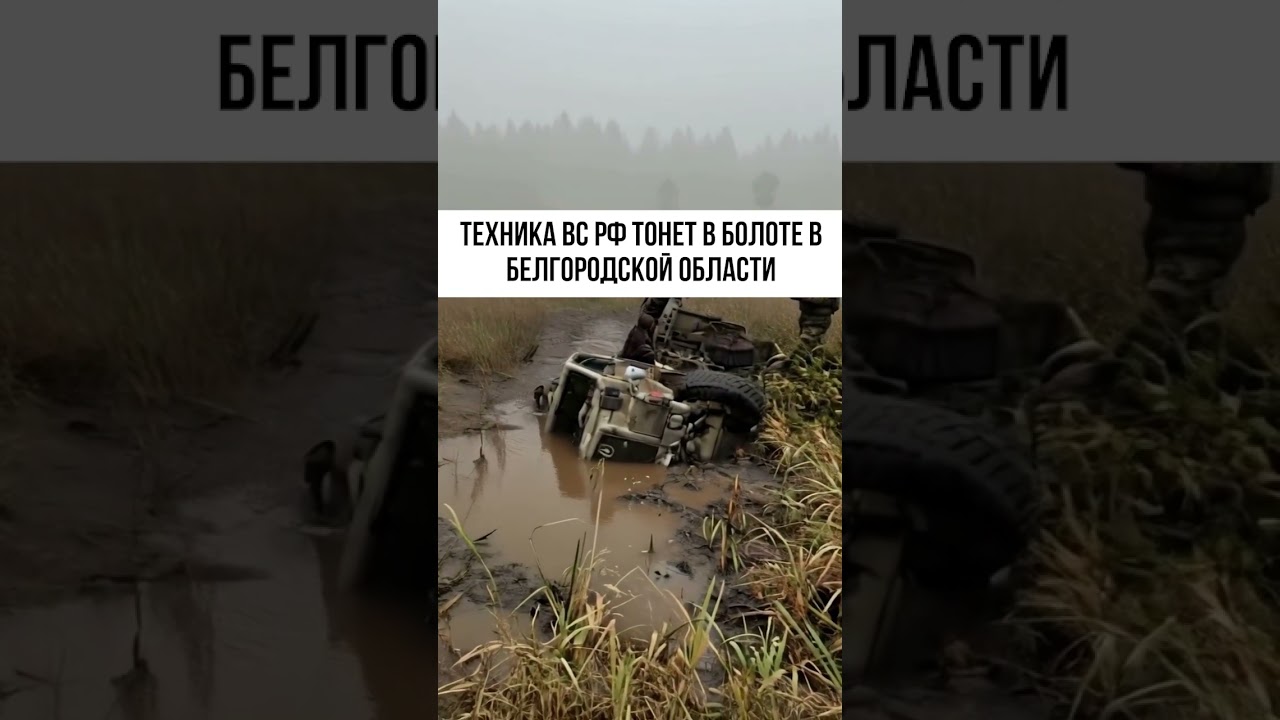 Катастрофический прорыв дамбы в Белгородской области: последствия и разрушения 💥