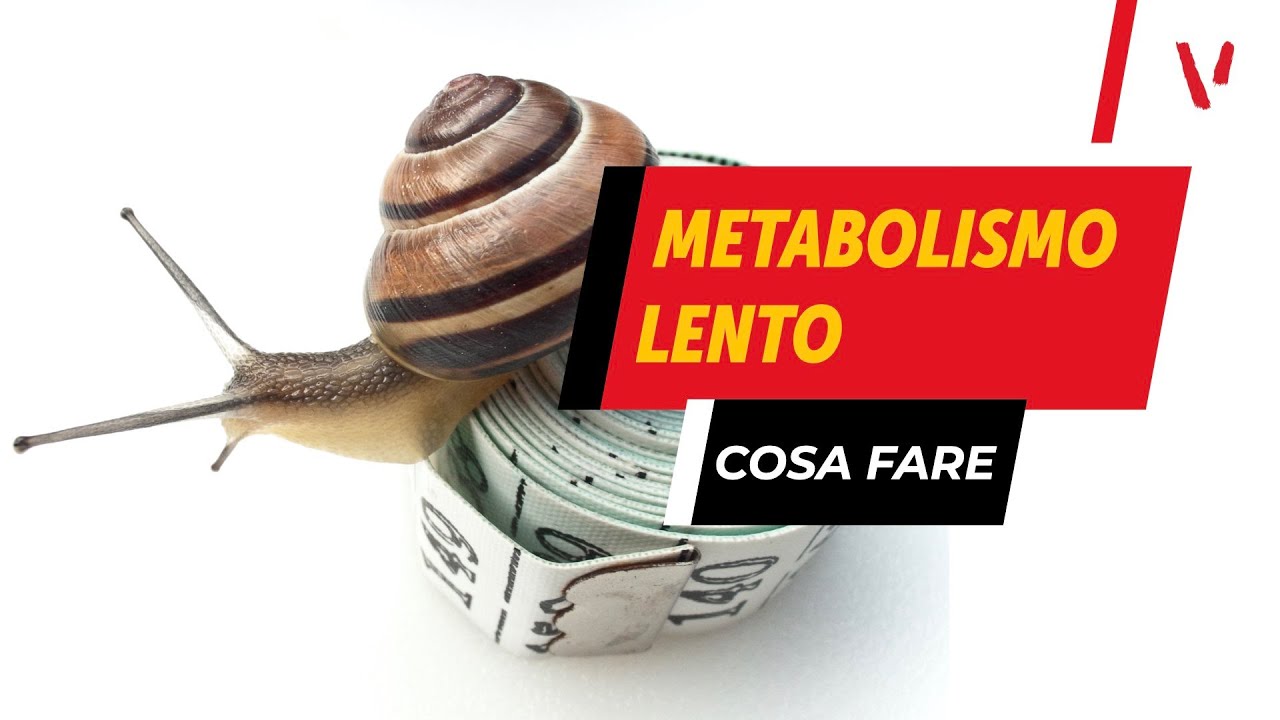 Metabolismo lento: esiste veramente?