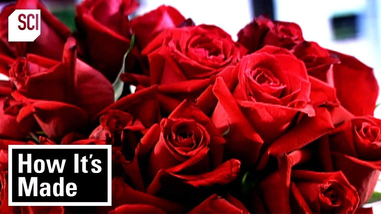 Crafting Man-Made Products from Natural Sources 🌸