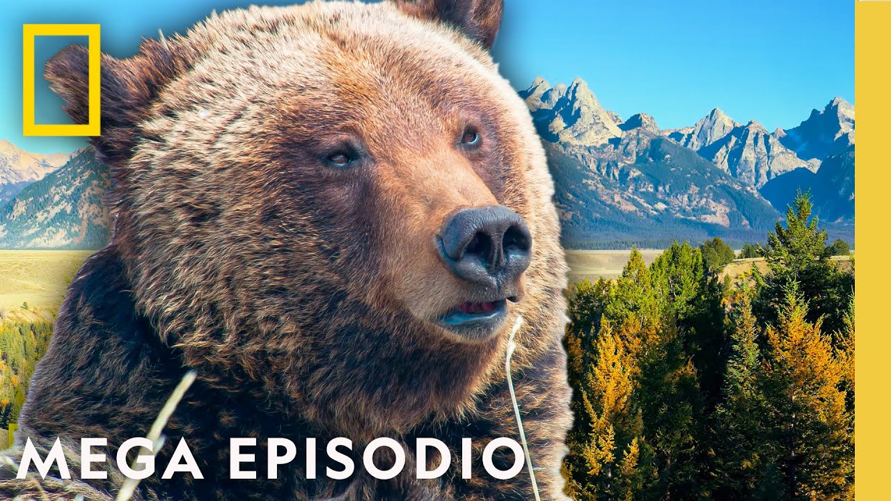 America's National Parks: Hidden Gems | S2 MEGA EPISODE | National Geographic