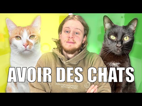 120 - AVOIR DES CHATS