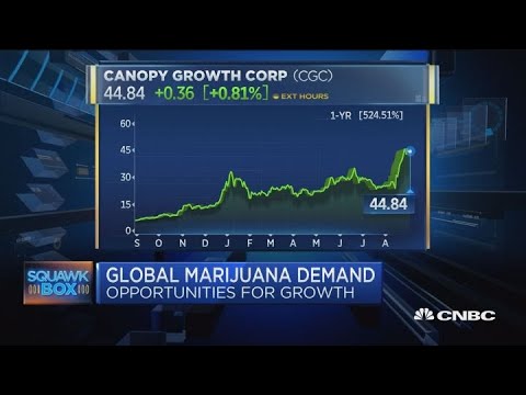 Canopy Growth CEO: Terrible job to be a beer or spirits CEO without a cannabis strategy now