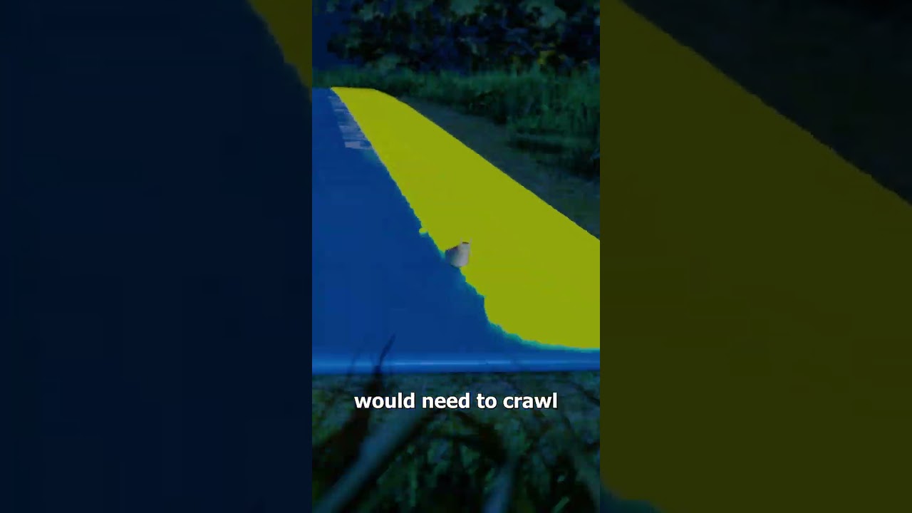 Can a Slug Use a Slip and Slide? 🤔