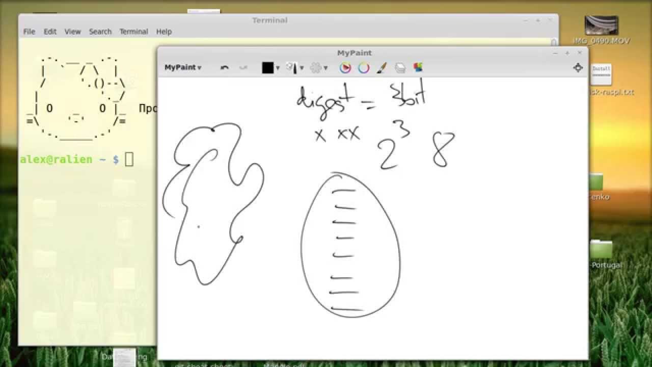 Cryptographic hash functions in Python
