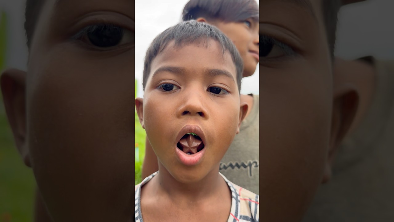 Delicious Chocolate Bites 🍫 - Satisfying & Viral Snack Video!