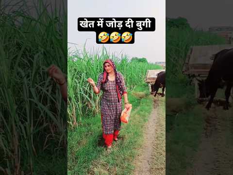 खेत में जोड़ दी बुगी 🤣हरियाणवी कॉमेडी videos #view #haryanvi #comedy #funny #reels #trend #viral