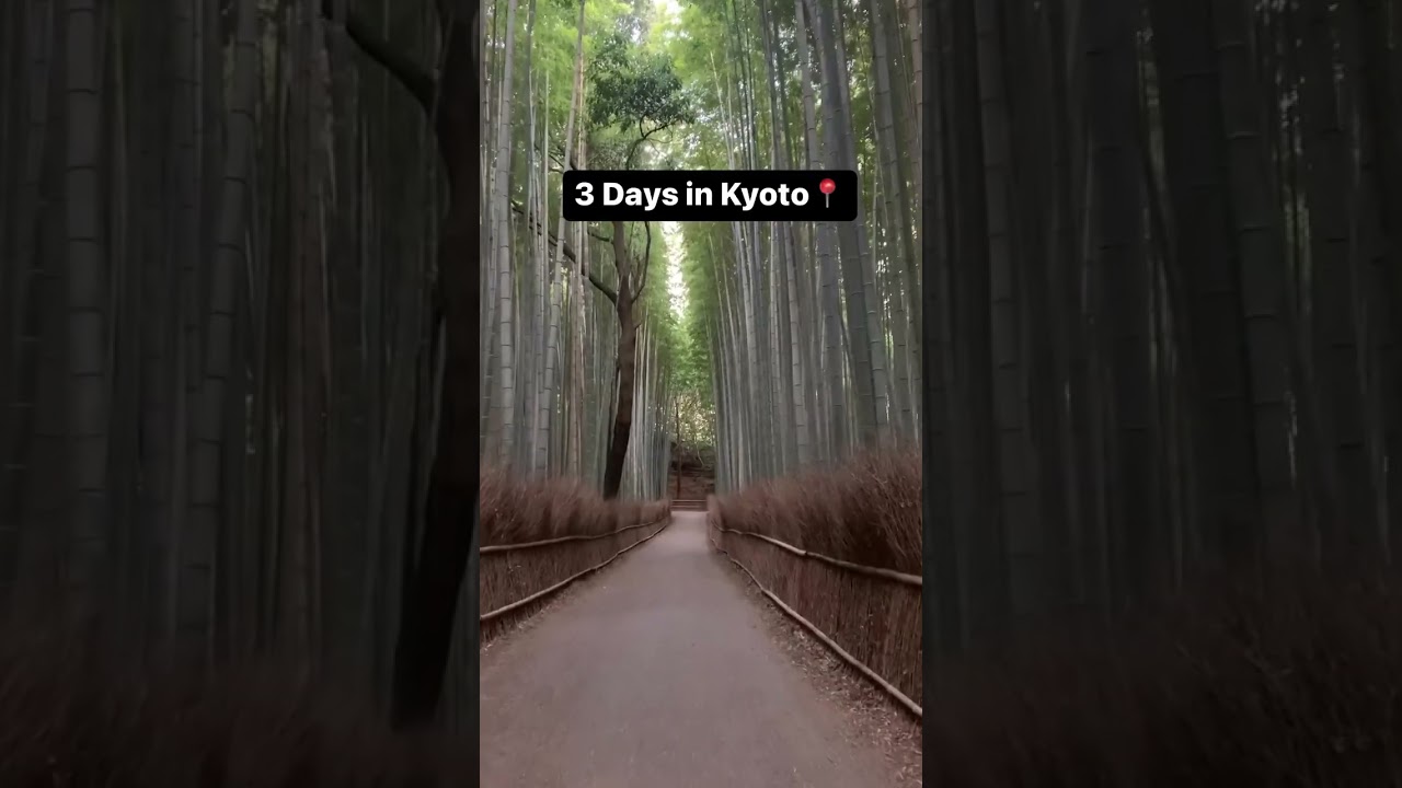 10-Day Japan Travel Guide 🇯🇵