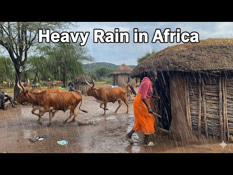 Heavy Rain in an African Traditional Homestead/Homemade Goats Head soup for this Cold Weather
