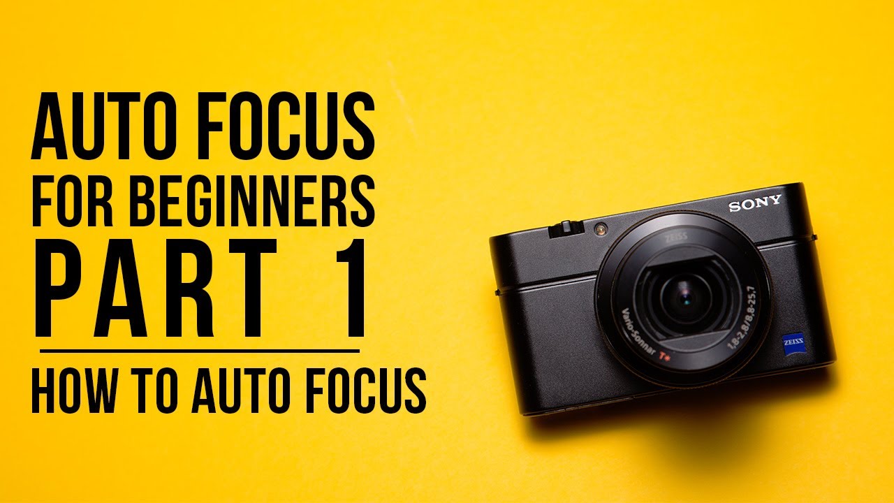 Auto Focus for Beginners: How to Use Auto Focus on Your Digital SLR Camera