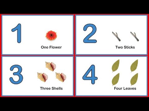 Learn Numbers and Counting 1 to 10 Flashcards | Number Names for Kids