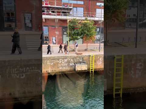 Living his best life! 🕺🔥 #ravers #90srave #oldschool #housemusic #technomusic #rave #dancing #techno