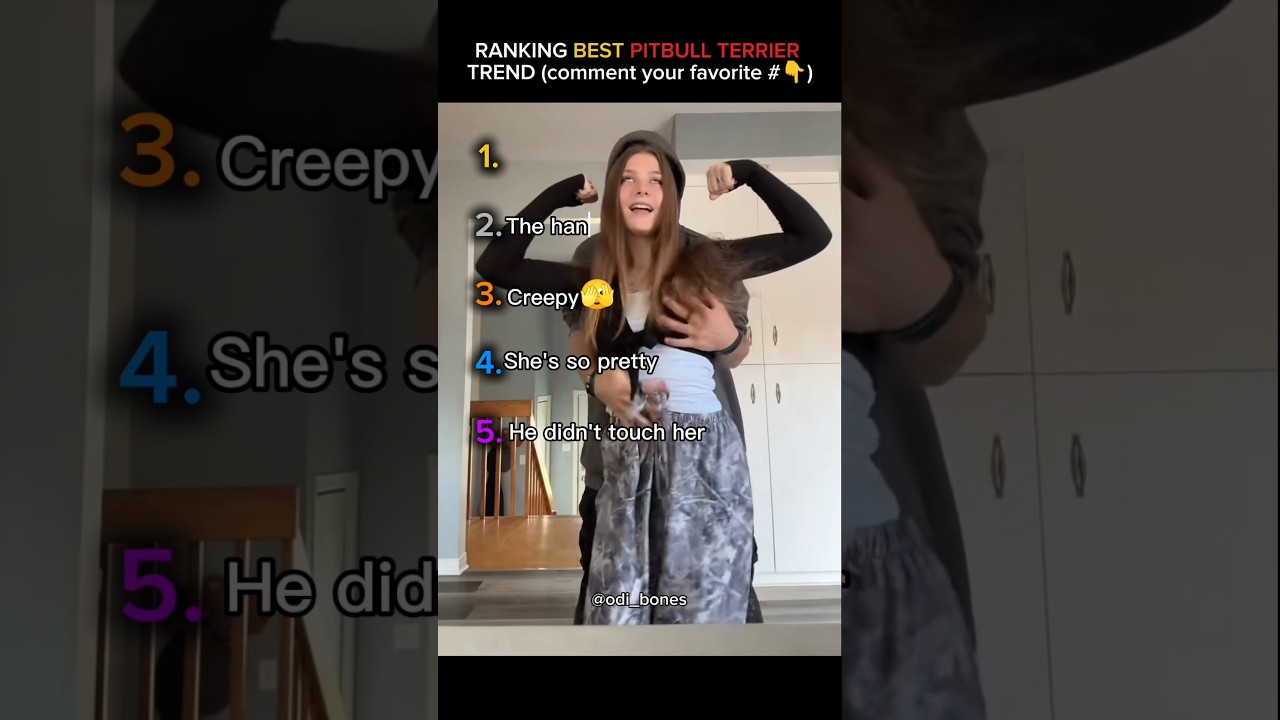 Top Pitbull Terrier Trends (Low Grab at End)๐