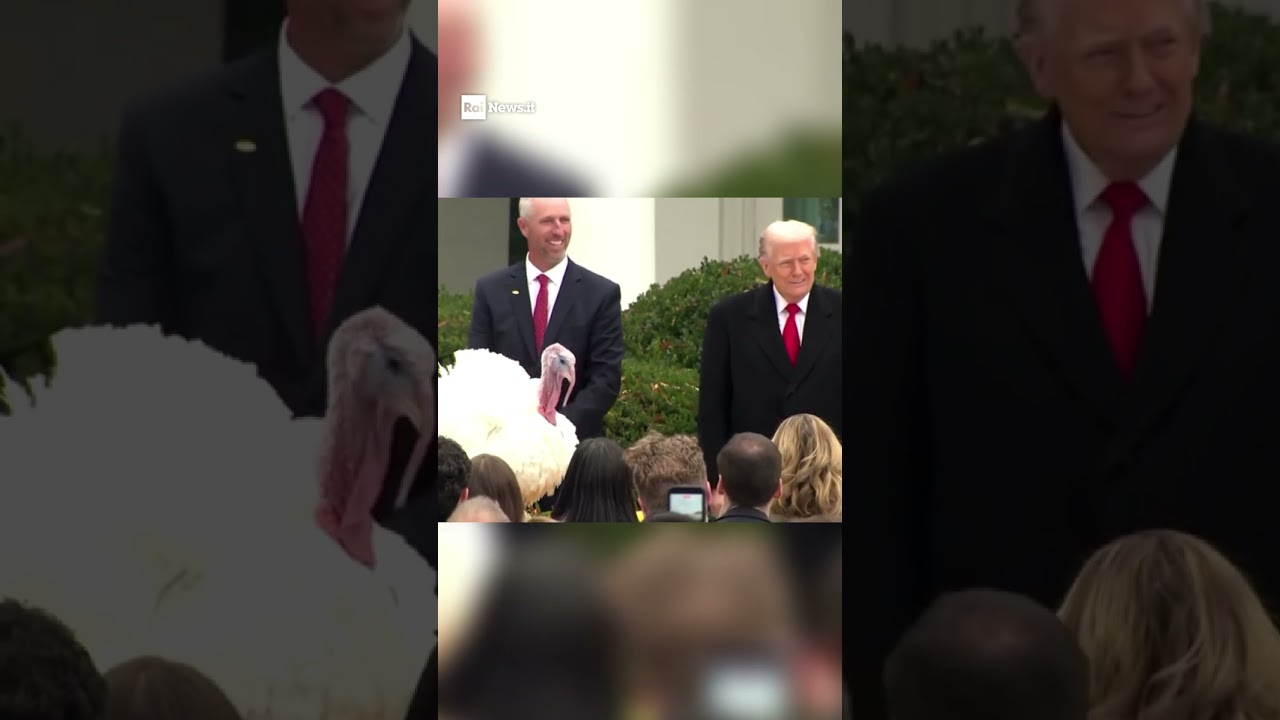 Trump Pardons Gobble, the Thanksgiving Turkey π¦