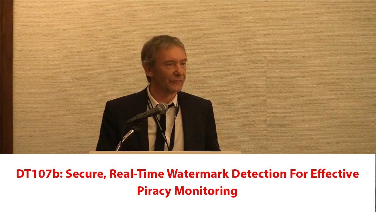 DT107B: Real-Time Watermark Detection for Enhanced Privacy Monitoring