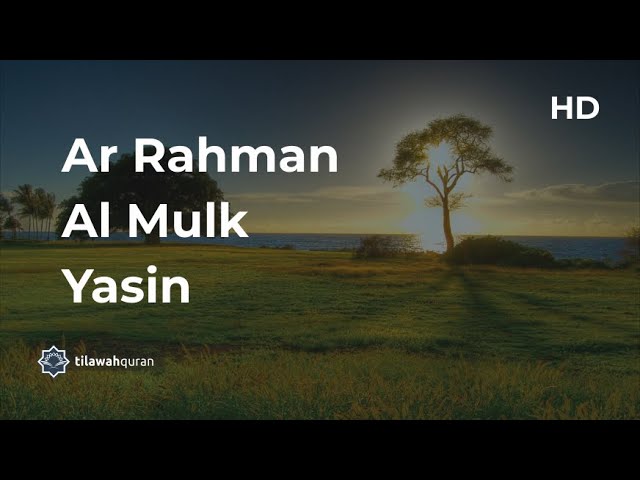 Suara Merdu Surah Ar-Rahman, Al Mulk & Yasin 🎶