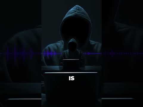 OTW - White hat hackers has a special responsibility