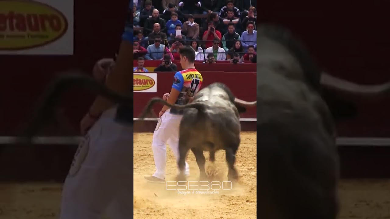 Juan Nieto's Epic Break on a Bravo Bull 🐂
