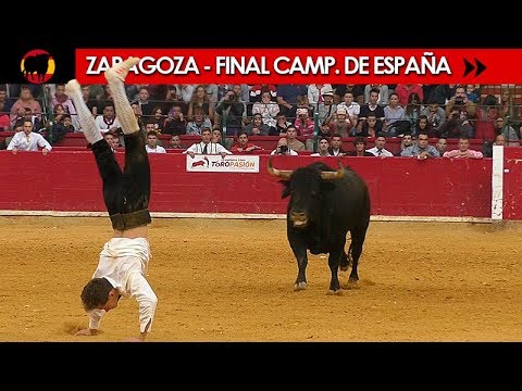 Final Campeonato de Recortadores en Zaragoza 2017 🐂