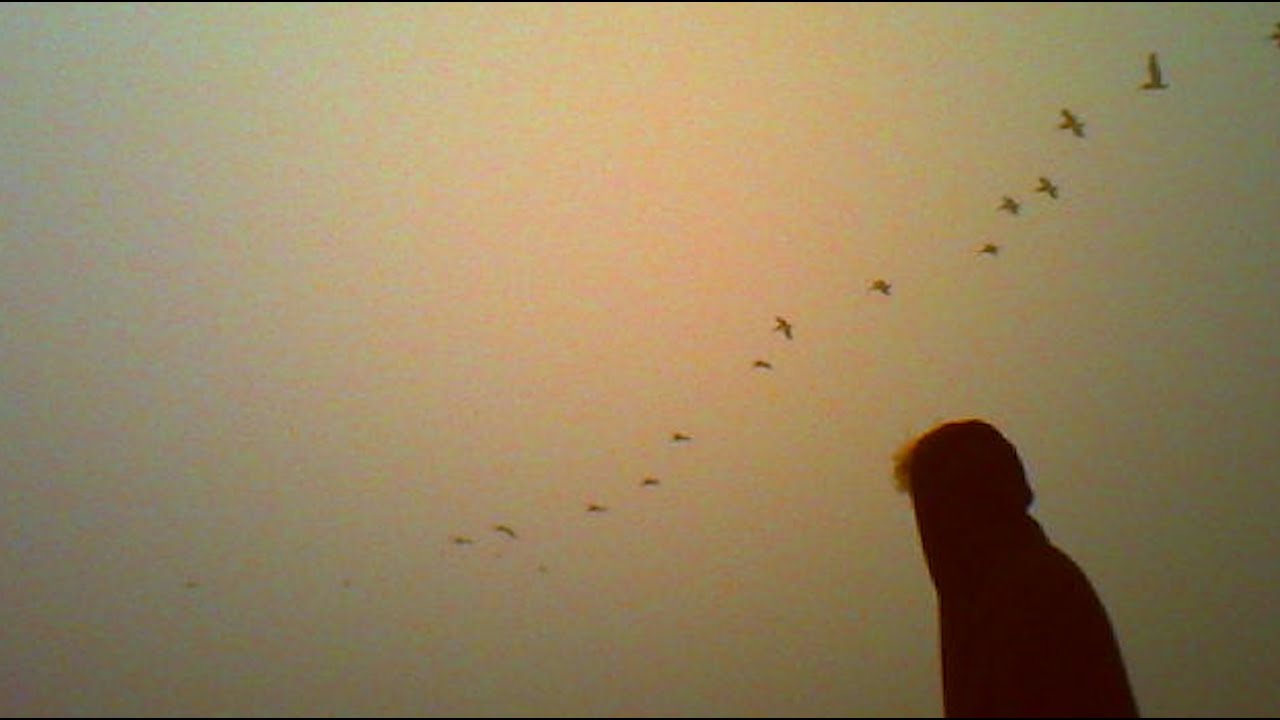 Glaive - For God and Country (Official Video)