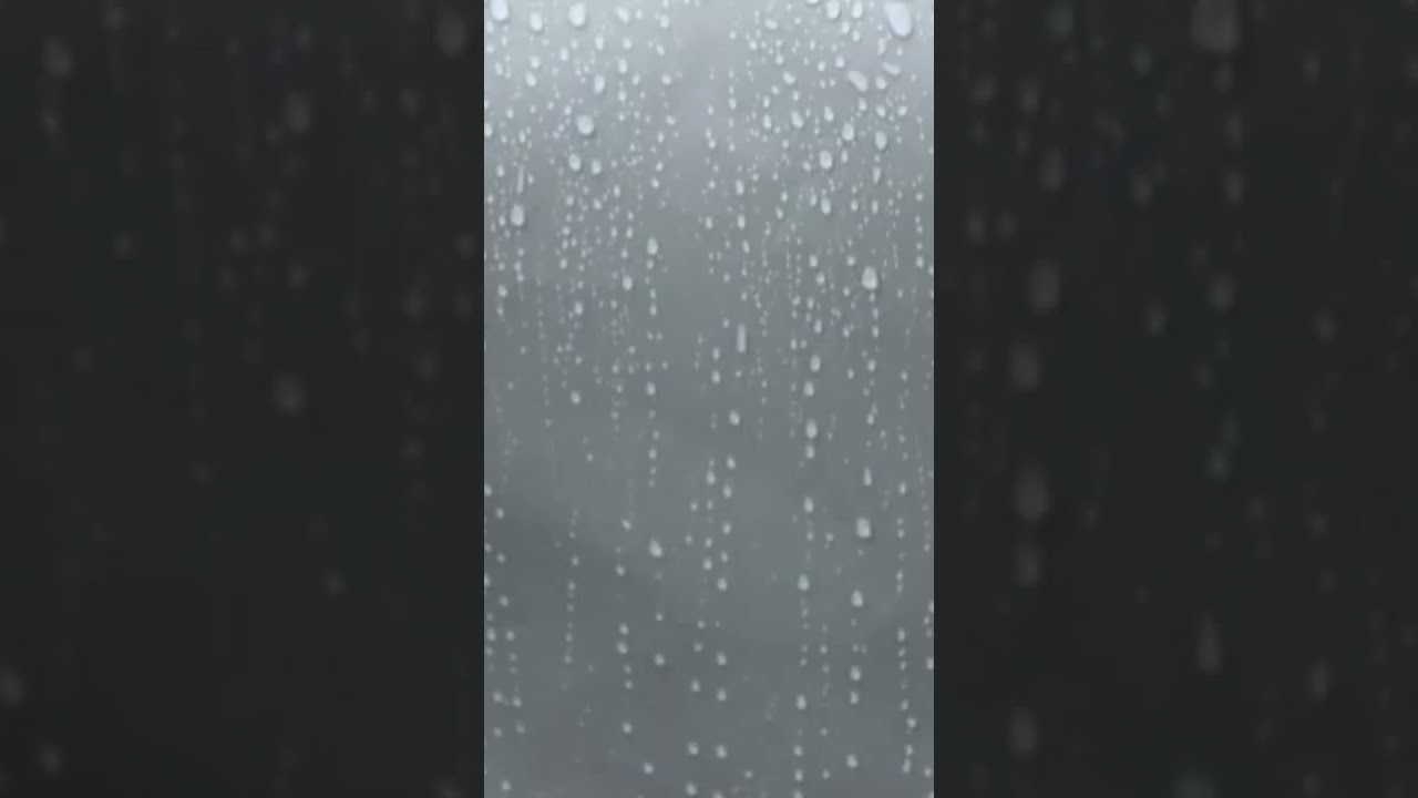 Amono Dine Tare Bola Jay | Rabindranath Tagore đļ