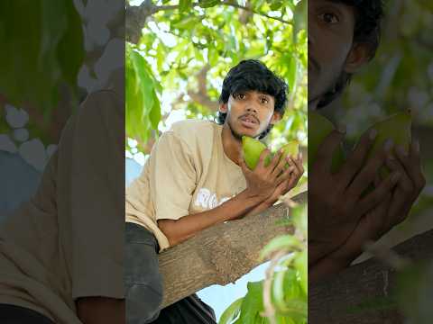 Riyas Pavam matikitan 🤣 #shorts #shortvideo #shortsfeed #trending #funny #comedy #viralvideo