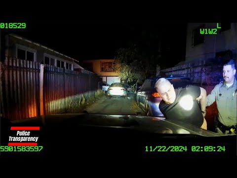 Police Chase Drunk Driver In Los Angeles