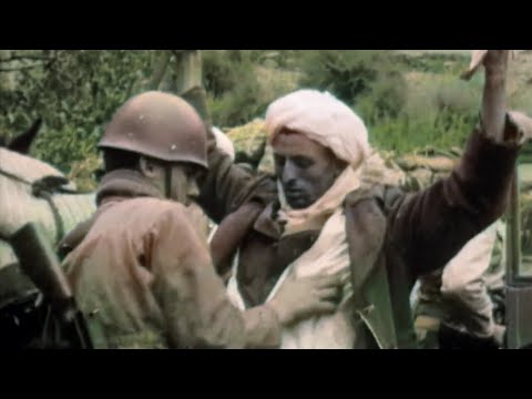 La Toussaint rouge : le début d'une guerre France/Algérie