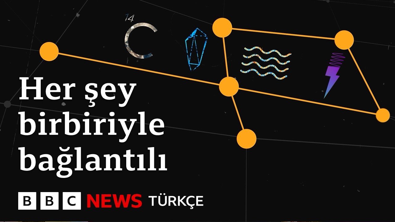 Bilimde zincirleme etki: Neden her şey birbiriyle bağlantılı?