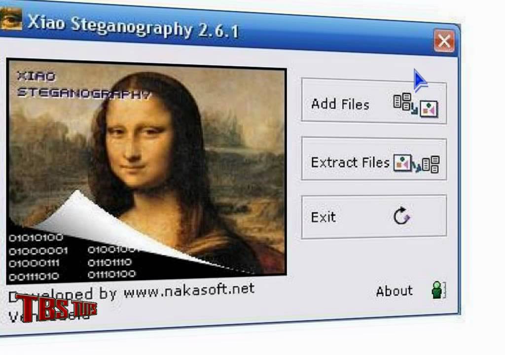 Steganography Video Response & Tools 📹