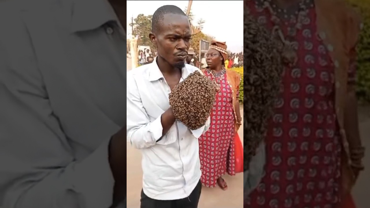 Man Seeks Witch Doctor to Catch Motorcycle Thief 🐝