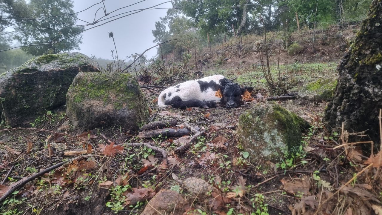 ¡Feliz viernes! Únete para beneficios exclusivos 🎉