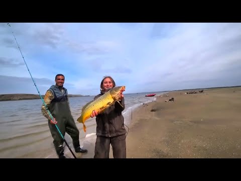 БЕШЕНЫЙ КЛЁВ САЗАНА НА ОДНУ УДОЧКУ! МУЖИКИ В ШОКЕ! РЫБАЛКА С НОЧЕВКОЙ