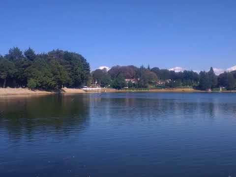 Evolutionary arms race Wikipedia Article Audio