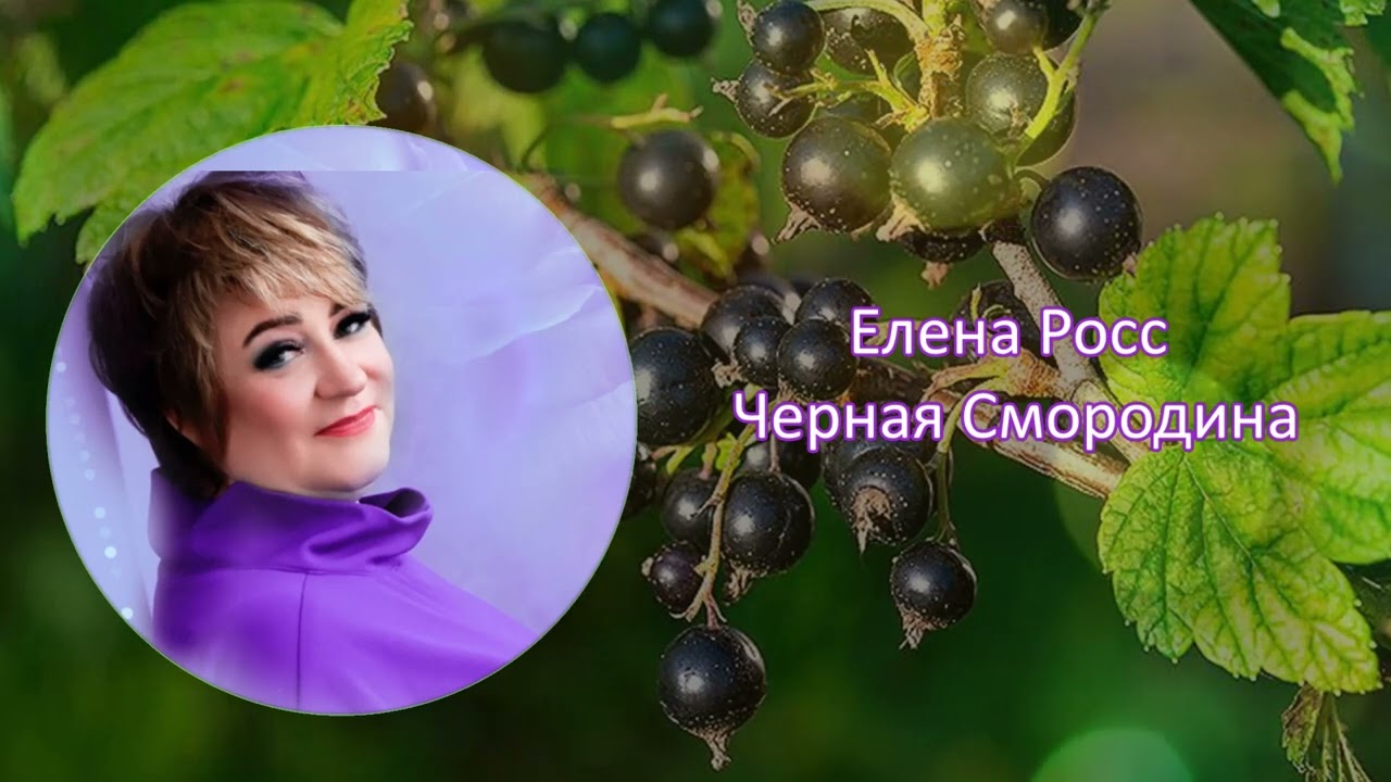 Алена Росс - Черная Смородина 🌱