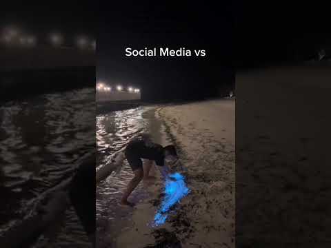 Instagram vs Reality: Bioluminescent Plankton | Beyond the Filter |Travel Guide