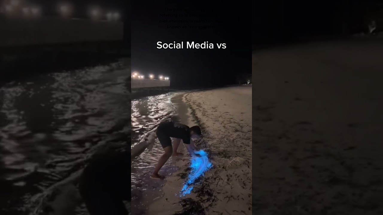 Instagram vs Reality: Discover the Stunning Bioluminescent Plankton ✨